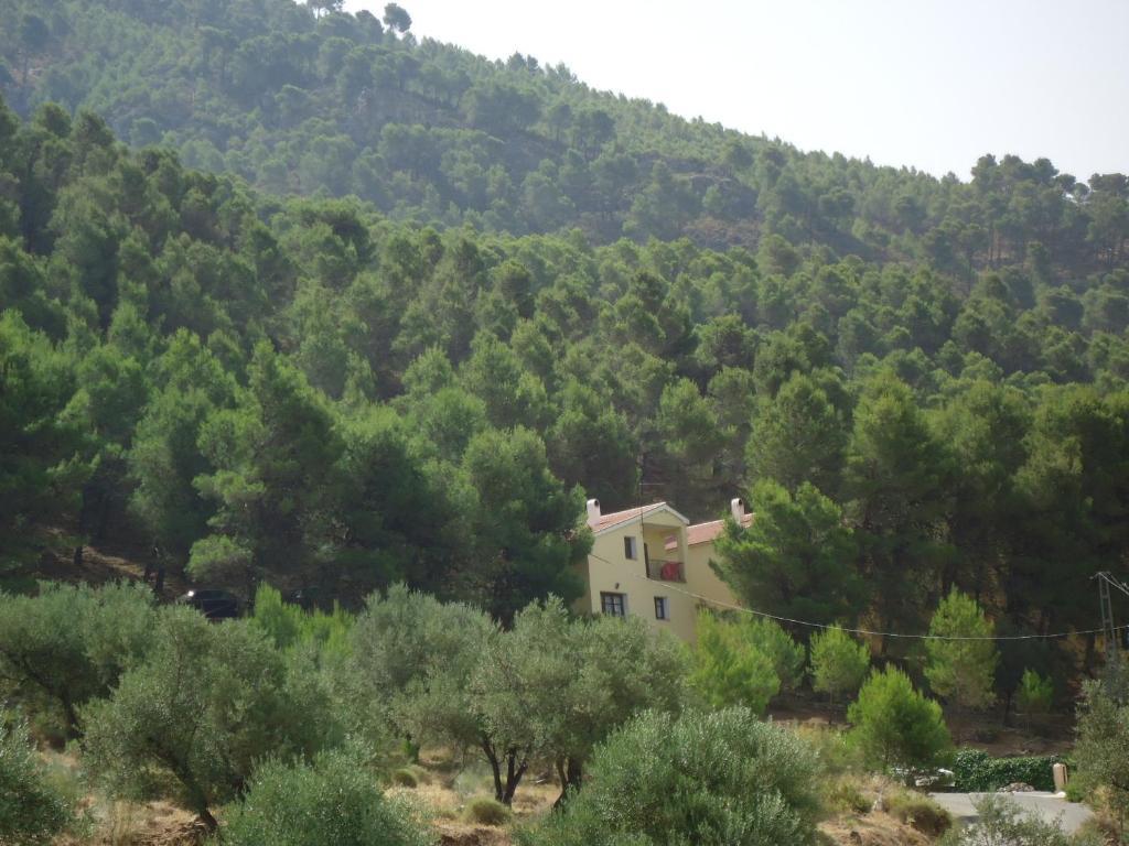 Ferienwohnung Cortijo Del Alcazar Alcaucín Exterior foto