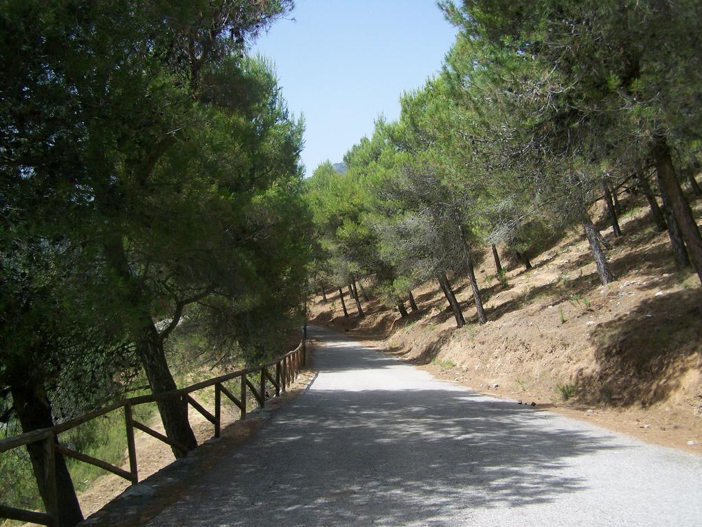 Ferienwohnung Cortijo Del Alcazar Alcaucín Exterior foto